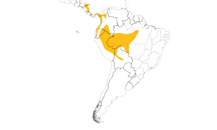 Range Map (South): Rufous Motmot