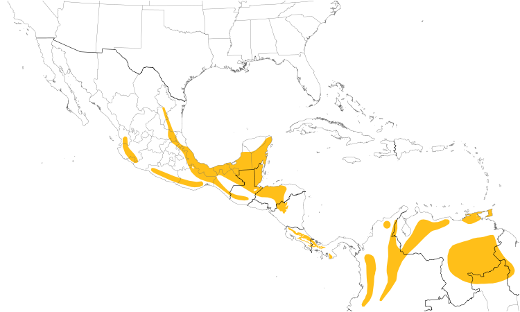 Range Map (Central): Golden-crowned Warbler
