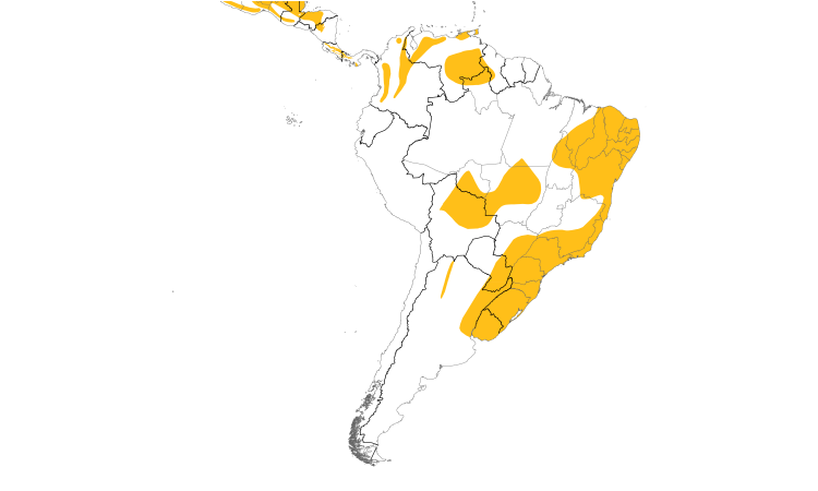 Range Map (South): Golden-crowned Warbler