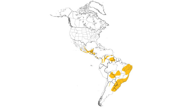 Range Map (Americas): Golden-crowned Warbler