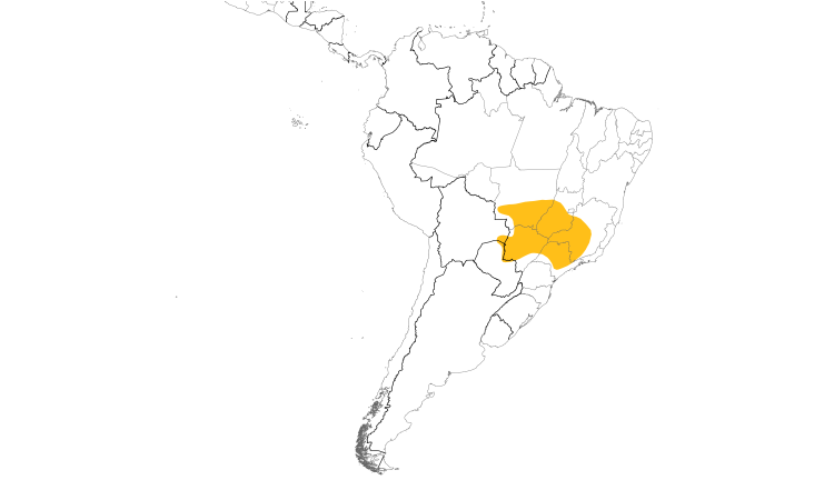 Range Map (South): Golden-crowned Warbler