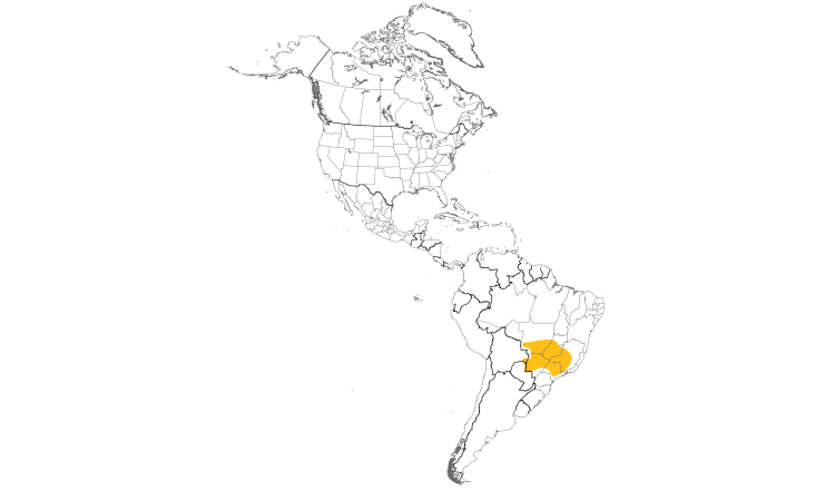 Range Map (Americas): Golden-crowned Warbler