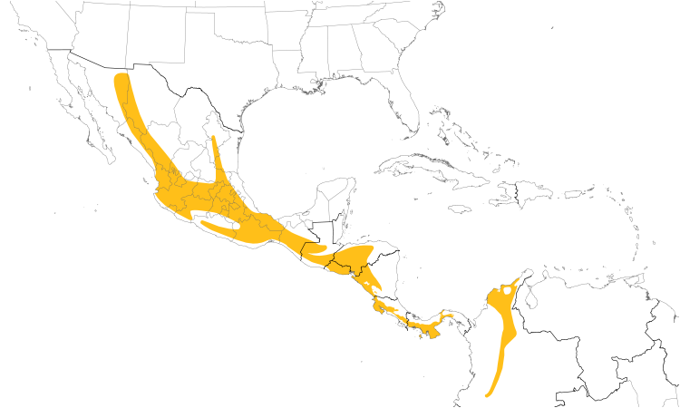 Range Map (Central): Rufous-capped Warbler