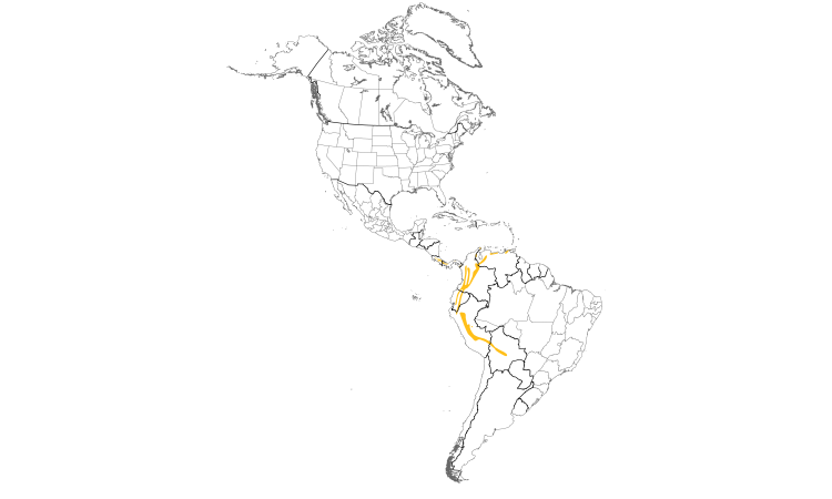 Range Map (Americas): Three-striped Warbler