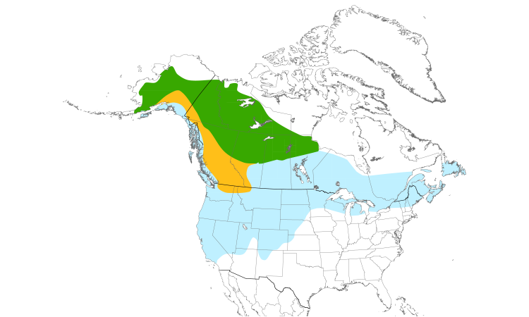 Carte de répartition  (North): Jaseur boréal