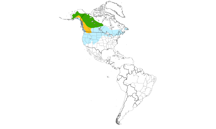Carte de répartition  (Americas): Jaseur boréal