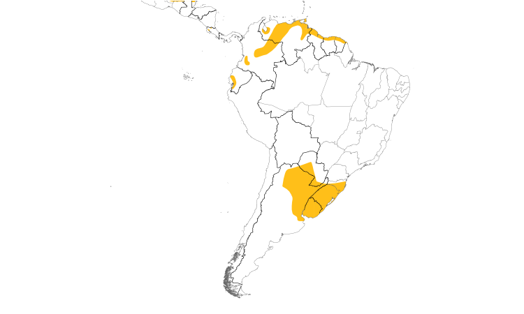 Range Map (South): Pinnated Bittern