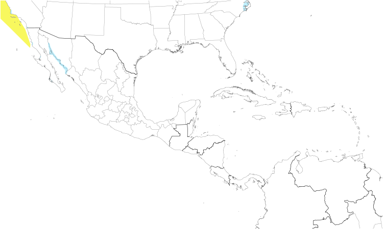 Range Map (Central): Brant