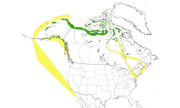 Range Map (North): Brant