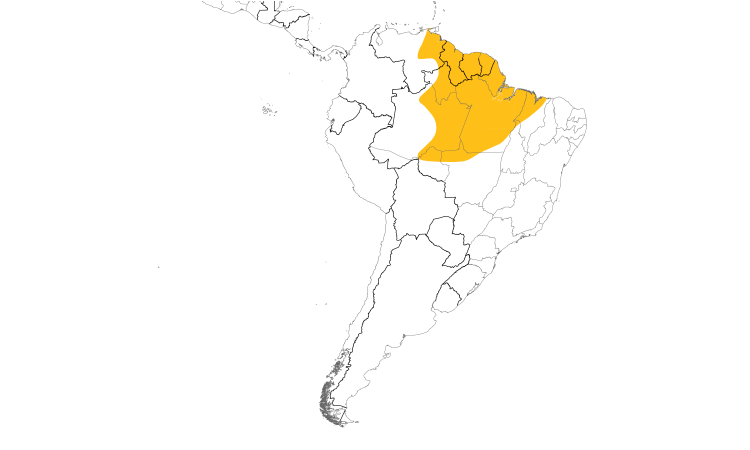 Range Map (South): Golden-winged Parakeet