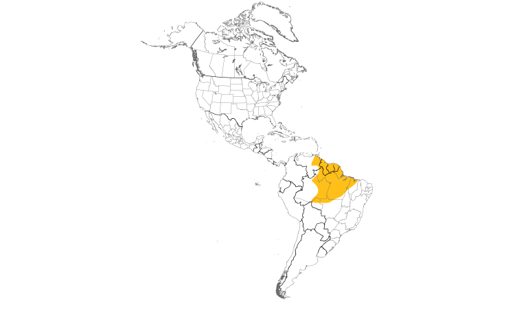 Range Map (Americas): Golden-winged Parakeet