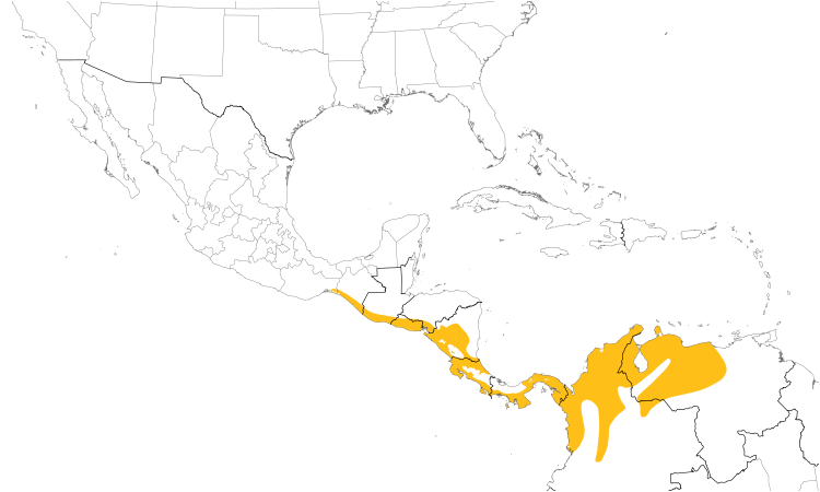 Range Map (Central): Orange-chinned Parakeet