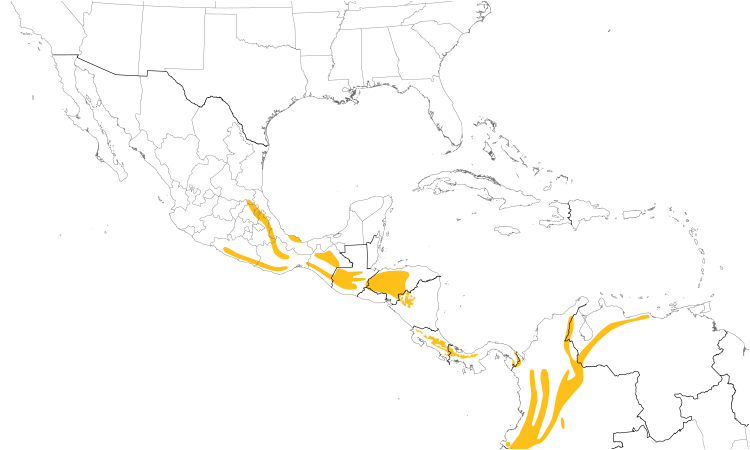 Range Map (Central): Chestnut-capped Brush-Finch