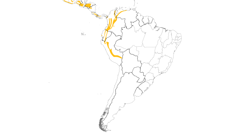 Range Map (South): Chestnut-capped Brush-Finch