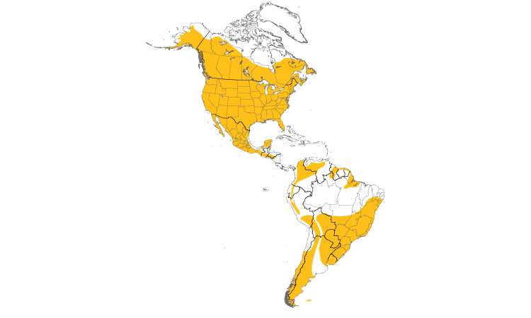 Carte de répartition  (Americas): Grand-duc d'Amérique