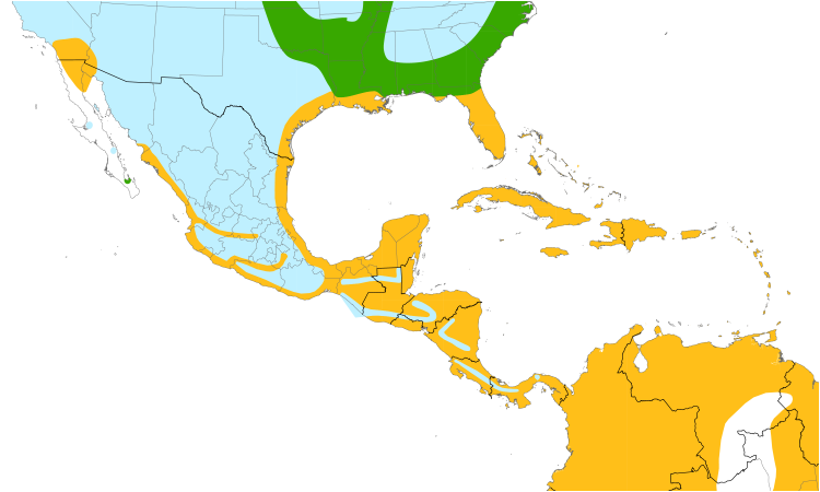Range Map (Central): Cattle Egret