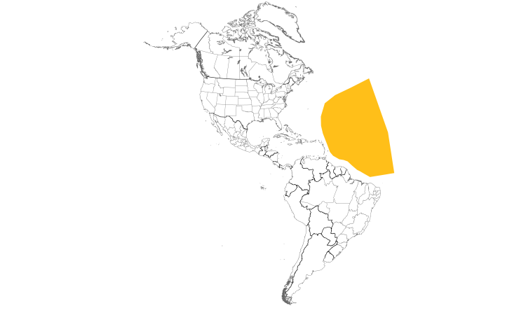 Range Map (Americas): Bulwer's Petrel
