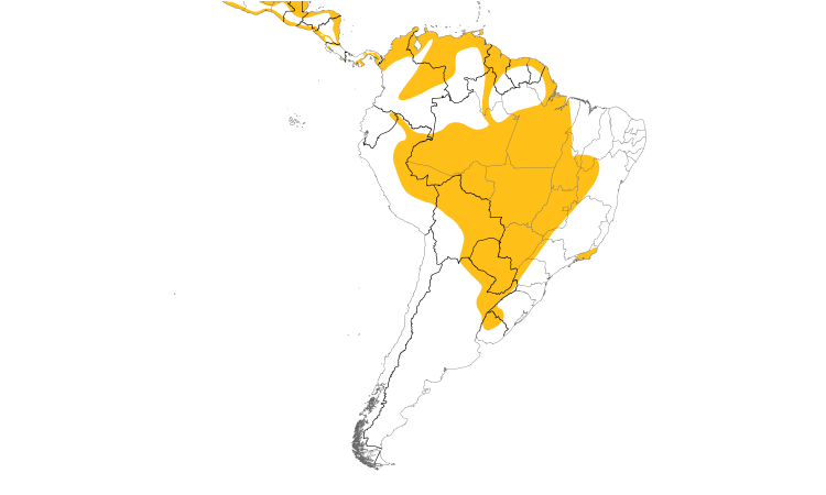 Range Map (South): Black-collared Hawk