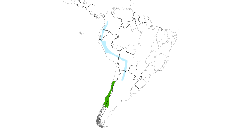 Range Map (South): White-throated Hawk