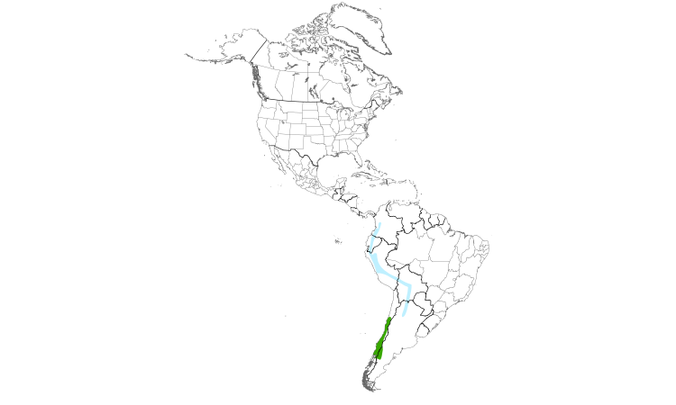 Range Map (Americas): White-throated Hawk