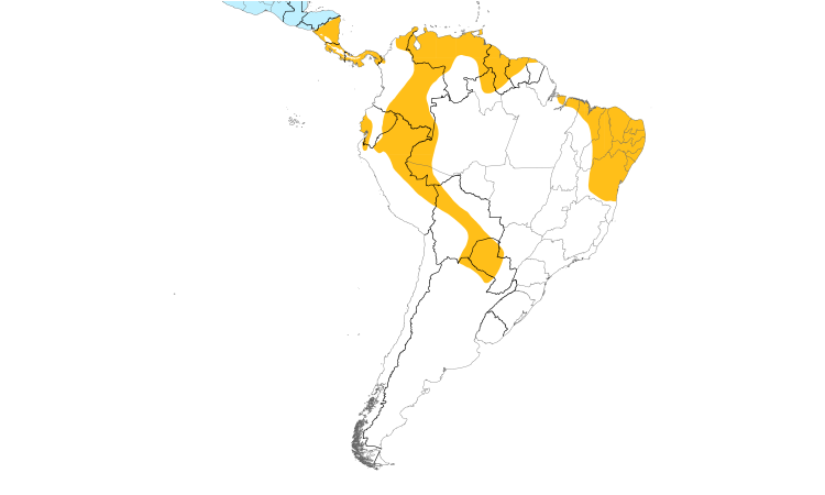 Range Map (South): Zone-tailed Hawk