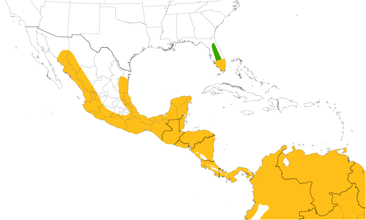 Range Map (Central): Short-tailed Hawk