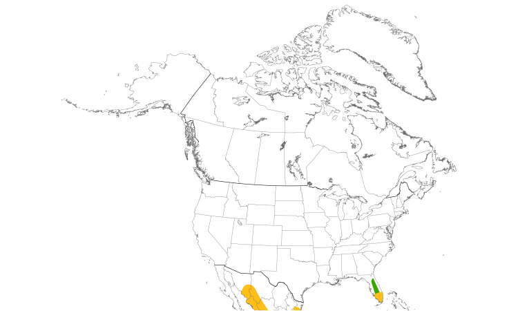 Range Map (North): Short-tailed Hawk