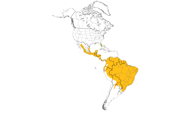 Range Map (Americas): Short-tailed Hawk