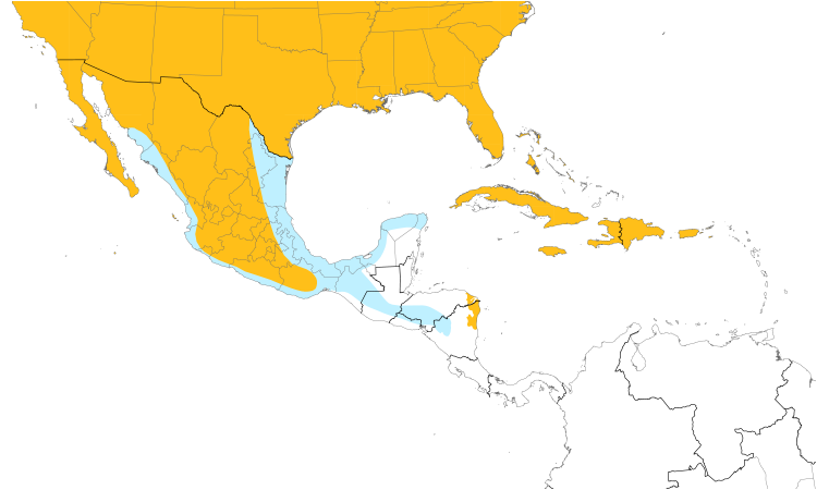 Range Map (Central): Red-tailed Hawk