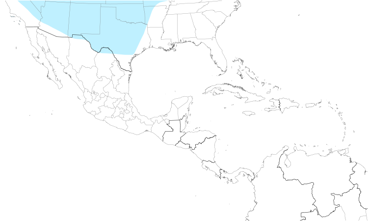 Carte de répartition  (Central): Buse pattue