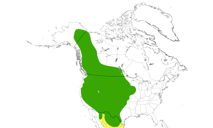 Range Map (North): Swainson's Hawk