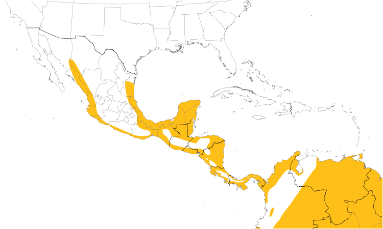 Range Map (Central): Great Black Hawk