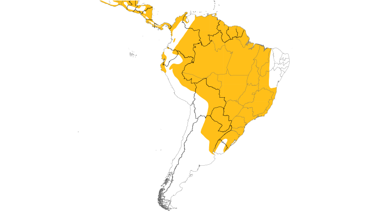 Range Map (South): Great Black Hawk