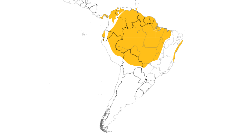 Range Map (South): Yellow-rumped Cacique