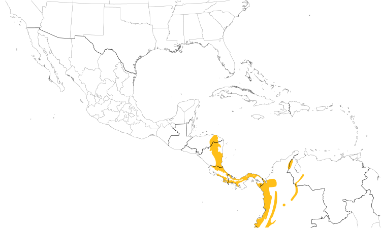 Range Map (Central): Scarlet-rumped Cacique