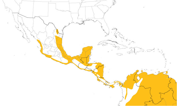 Range Map (Central): Muscovy Duck
