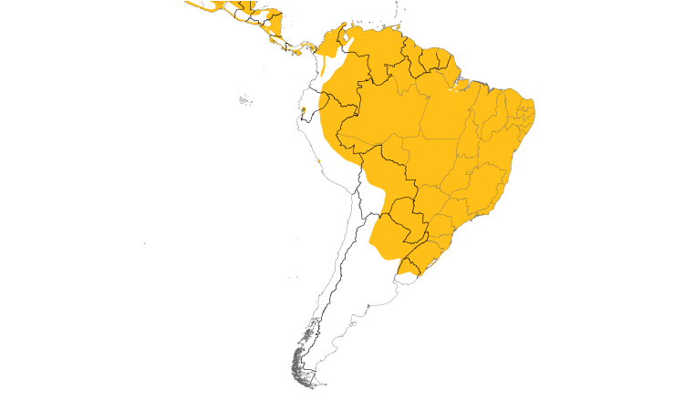 Range Map (South): Muscovy Duck
