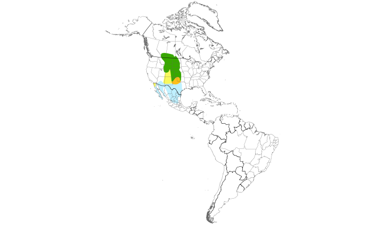 Range Map (Americas): Lark Bunting
