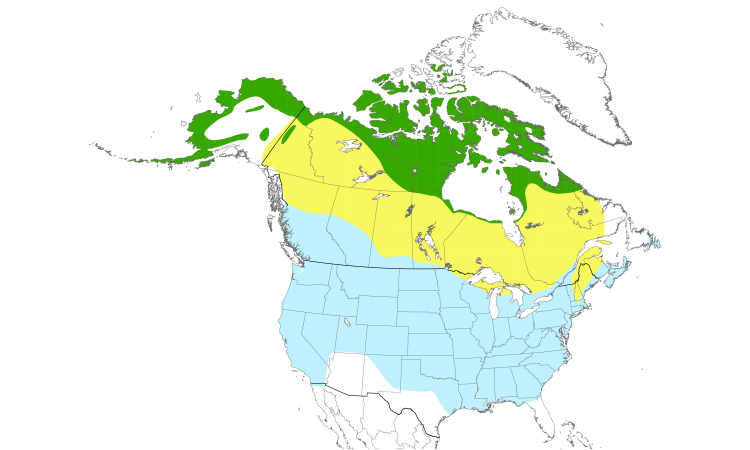 Range Map (North): Lapland Longspur