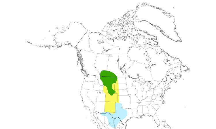 Range Map (North): McCown's Longspur