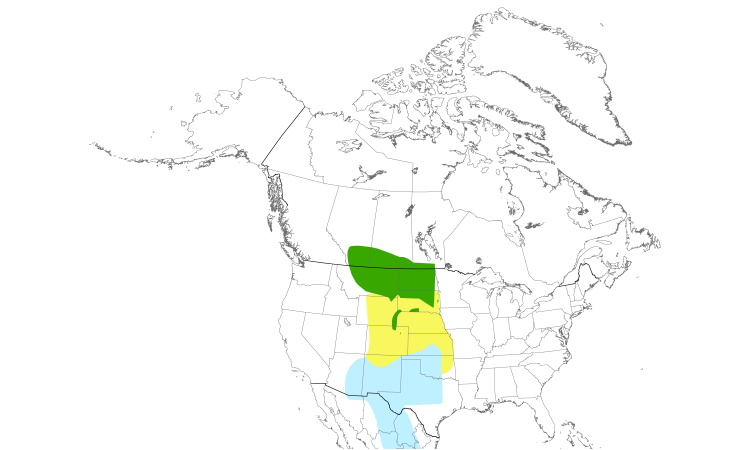 Range Map (North): Chestnut-collared Longspur