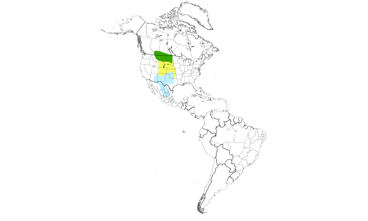 Range Map (Americas): Chestnut-collared Longspur