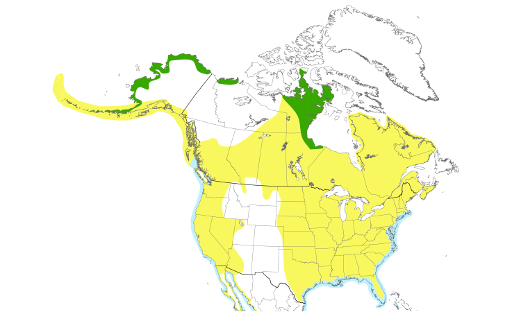 Range Map (North): Dunlin