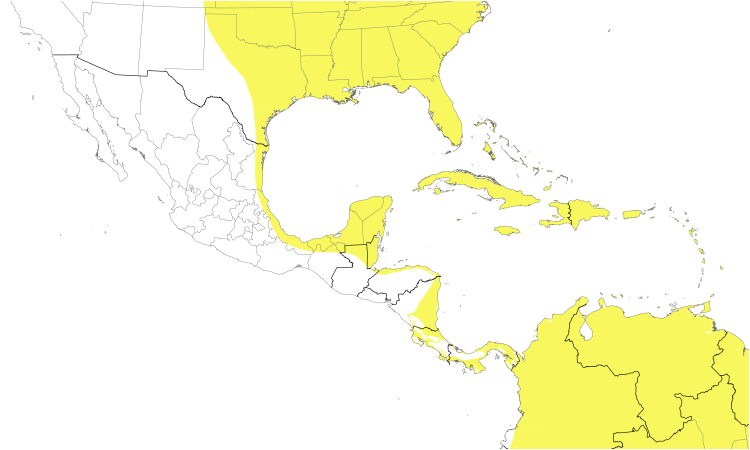 Range Map (Central): White-rumped Sandpiper