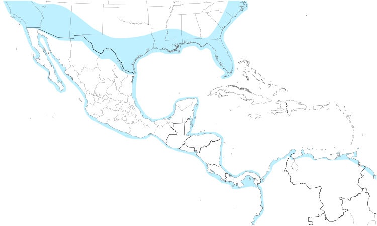 Range Map (Central): Western Sandpiper