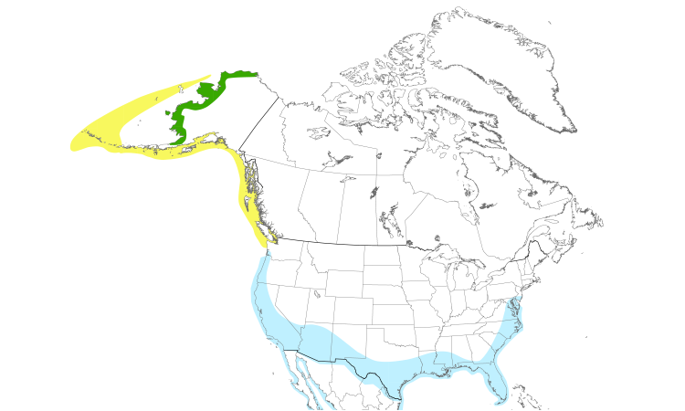 Range Map (North): Western Sandpiper