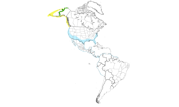 Range Map (Americas): Western Sandpiper