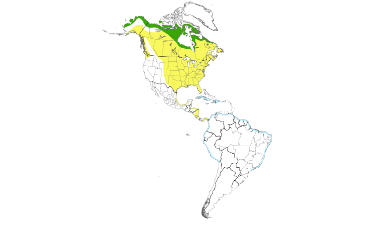 Range Map (Americas): Semipalmated Sandpiper