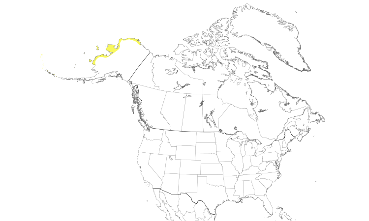 Range Map (North): Red-necked Stint