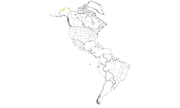 Range Map (Americas): Red-necked Stint